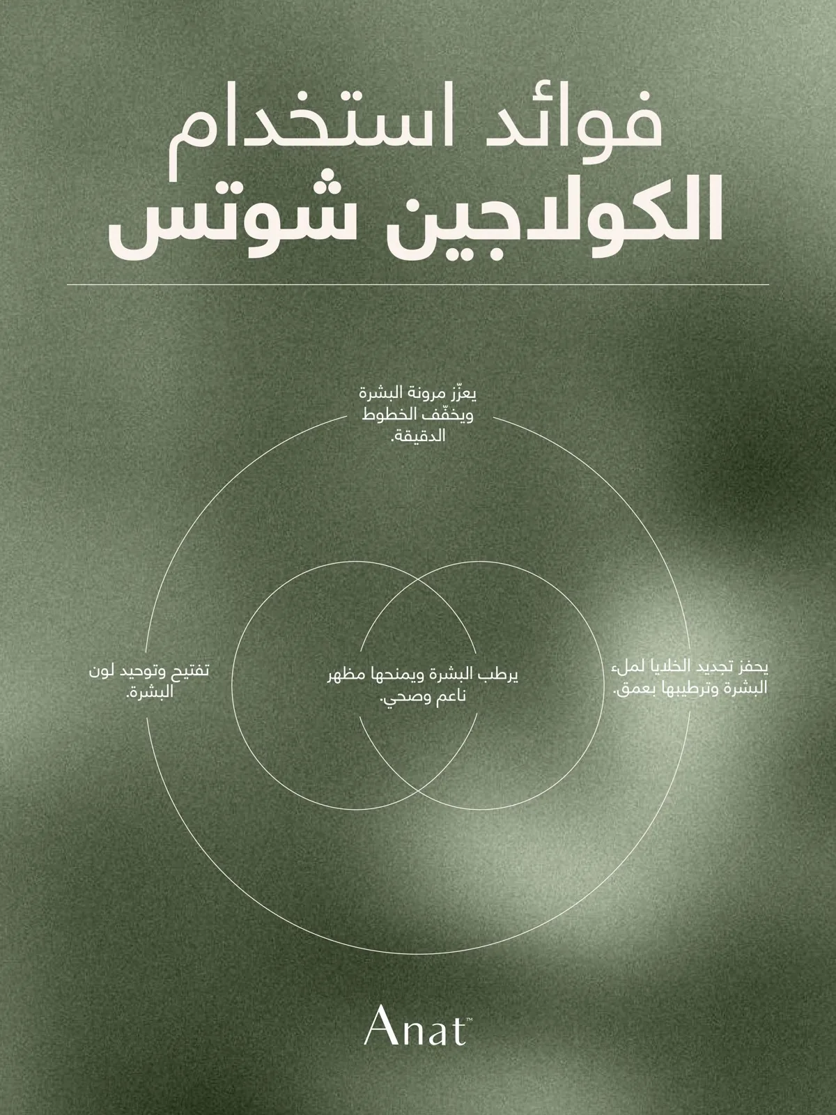 ANAT overview visual